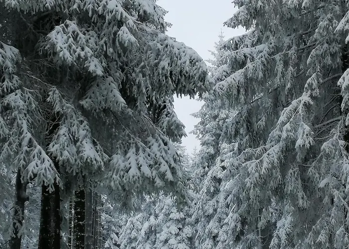 Wilhelm Springstille