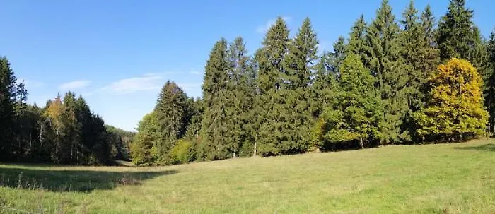 Wilhelm アパート Springstille